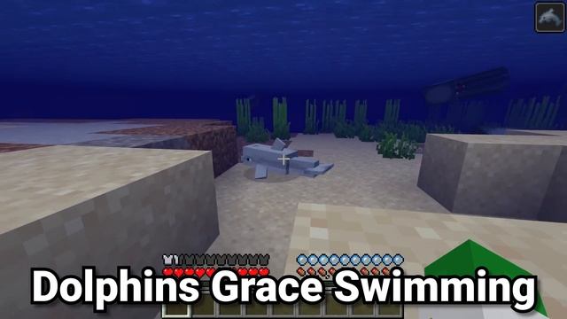 What is the Fastest Way to Travel in Survival Minecraft 1.20? смотреть онлайн