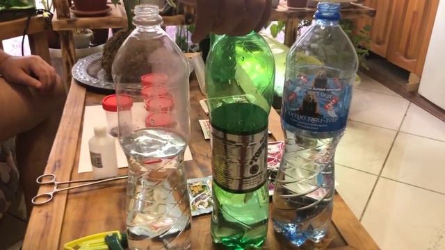 Паразиты в цветах смотреть онлайн