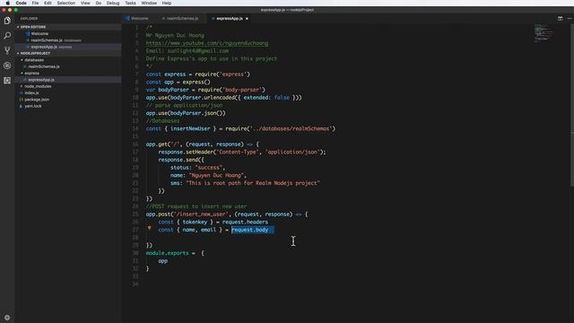 Lession 18 Realm Nodejs2 Insert and query Realm database with Restful API смотреть онлайн