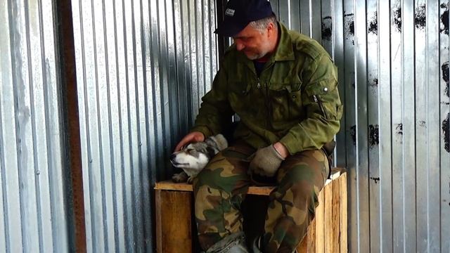 Новоселье Айки.