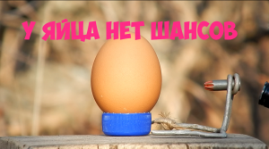 У яйца нет шансов! Проверяем мощность монтажных патронов.