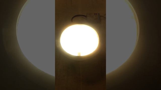 13 Luminaria Philips 2 x Philips con Balasto Balasto ICF2S42M2LD 2 смотреть онлайн