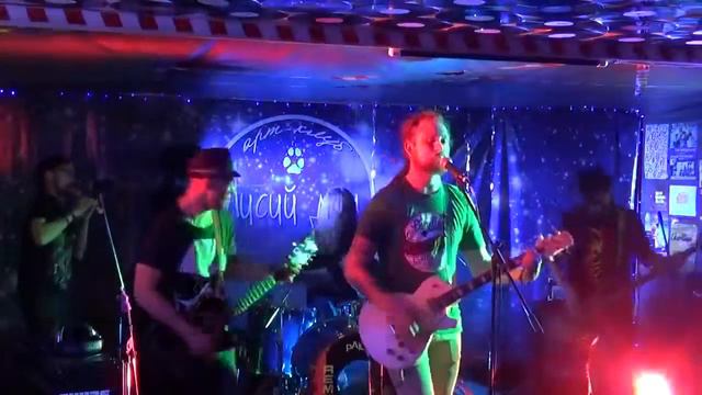CHINCHILLA SPONGE | Гордые львы (live at Лисий дом, Семёнов, 30.01.16.) смотреть онлайн