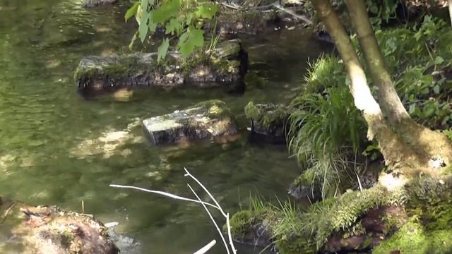 Relax-Нереально красивая,космическая музыка для релаксаОкрестности курорта г.Урах Bad UrachWasserfa смотреть онлайн