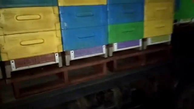 Переїзд пасіки. Розвантаження вуликів саморобним міні навантажувачем. Міні погрузчик в роботі. смотреть онлайн