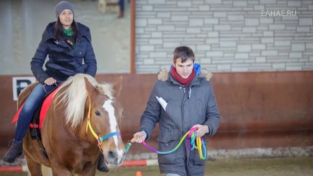 Тренинг с лошадьми ноябрь 2015 смотреть онлайн