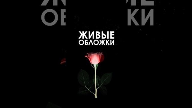 Живые обложки для вк смотреть онлайн