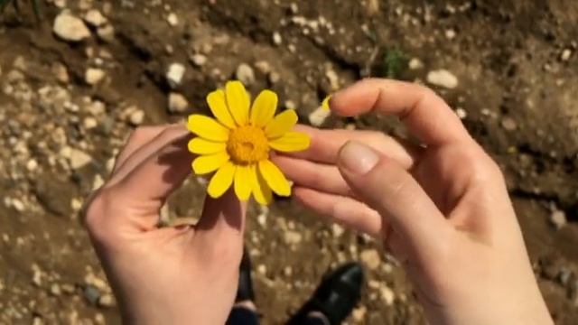 Людмила Туманова - А весна уходит в мае... смотреть онлайн