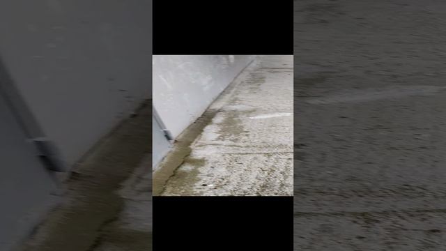 VID_20240813_180641.mp4 смотреть онлайн