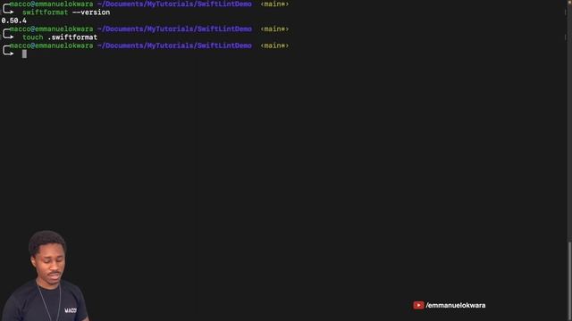 How to Setup Swift Format on XCode 14 смотреть онлайн
