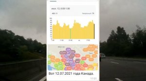 Александр Сидорин. Пандемия и комары.