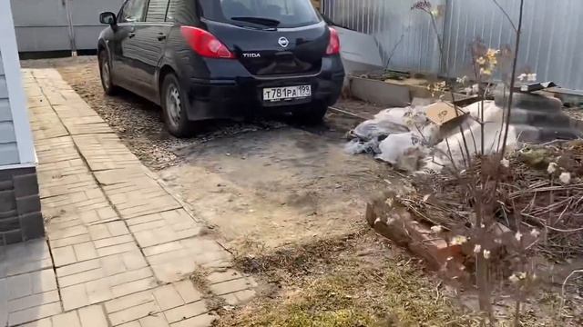 Как перезимовала розовая гортензия / Любаша - путешественница / А я склеротичка ? 15 апреля 2021 г. смотреть онлайн