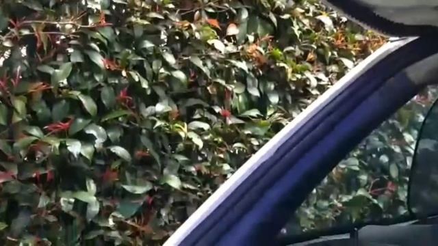 Revisión de amortiguadores de baúl de Volkswagen Gol, Pointer смотреть онлайн