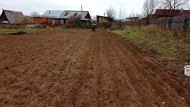 Посадка чеснока 2023. смотреть онлайн