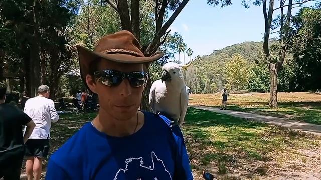 Встреча друзей в Австралии: русский гид и дикий попугай какаду смотреть онлайн