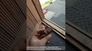 Сломался моторчик омывателя Лада Калина что делать.