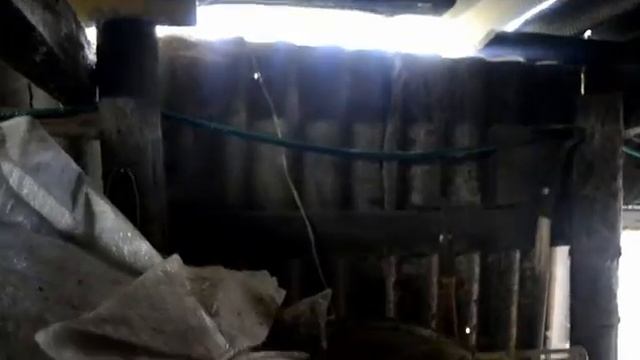 Маточник для кроликов