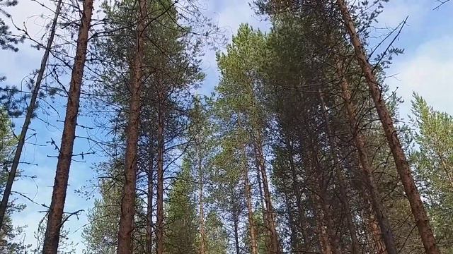 Как Bыбраться из нищеты lll Что мешает жить B достатке... смотреть онлайн