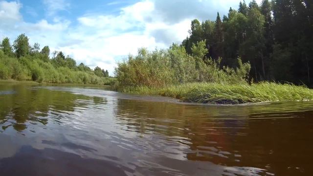 К Визинге по Визинге. смотреть онлайн