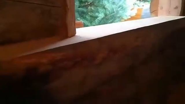 Срубы Рязань Маруся 62, сосна Кело смотреть онлайн