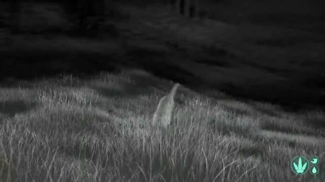 THE ISLE -  Теризинозавры Vs  Ютарапторы