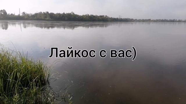 Рыбалка на Ельца и Сорогу. Удовольствие получили. Сибирь Красноярский край смотреть онлайн