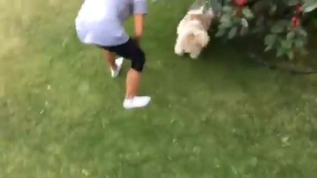 Silly Polly смотреть онлайн