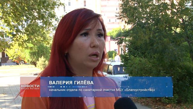 В Анапе ликвидирована большая стихийная свалка смотреть онлайн