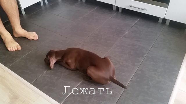 Окд Жак смотреть онлайн