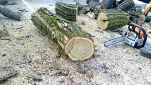 Обзор 2-х цепей STIHL Super и Micro на 50 звеньев 3/8шаг. Заготовка дров бензопилой STIHL MS 180