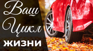 Ваш цикл жизни. Ведическая нумерология доступным языком. Циклы и периоды жизни.