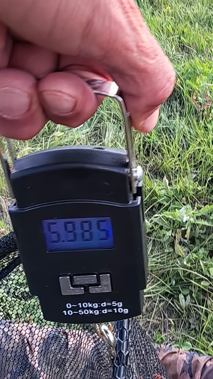 А ты бы отпустил? 🙂 Рыбалка смотреть онлайн