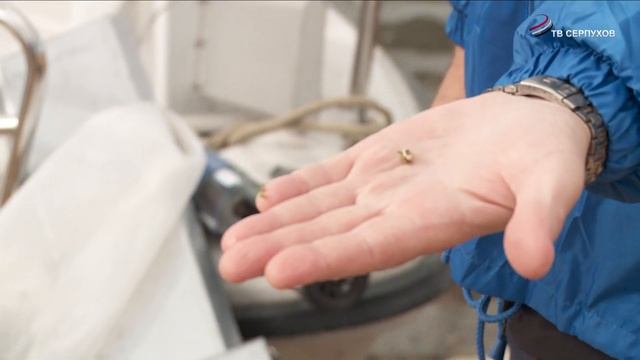 Специалисты исследуют Оку на наличие микропластинка смотреть онлайн