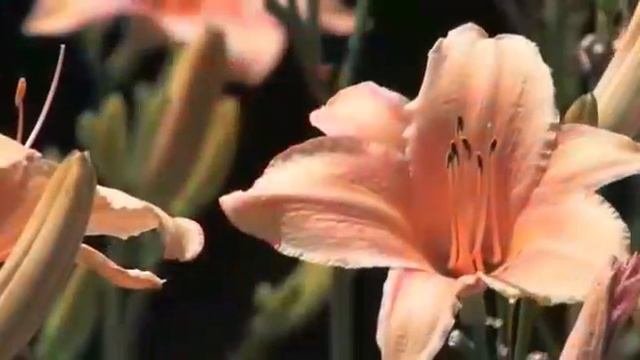 5 Способов укрепить веру