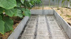 ТЕПЛИЦА КАПЛЯ - ФУНДАМЕНТ из ШИФЕРА - ЦЕНА В ОПИСАНИИ