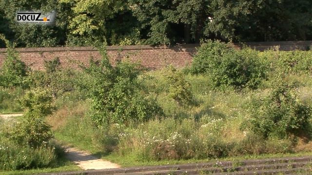 De Wallen van Sittard met stadsgids Ed van den Ende смотреть онлайн