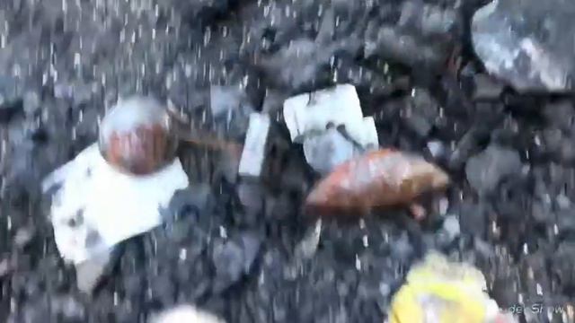 Пожар в лагере😱///раскопки после пожара смотреть онлайн
