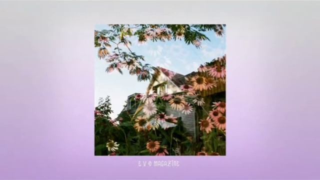 ssshhhiiittt! - засыпай смотреть онлайн