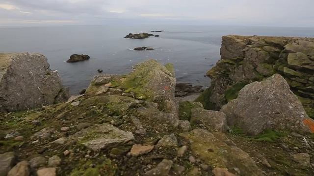 Мыс Желания: перекрёсток медвежьих троп смотреть онлайн