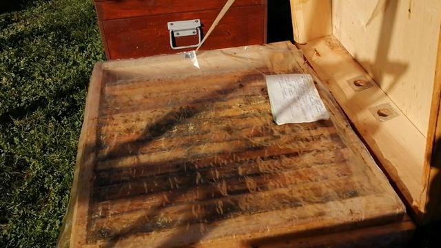 Когда начинать подкармливать пчёл в зиму. смотреть онлайн