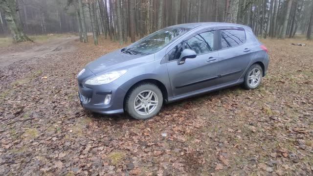Пежо 308. На что обращать внимание при покупке смотреть онлайн