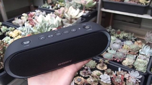 20171213 Sony SRS-XB20 смотреть онлайн