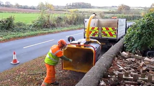 Fern-leaved Beech, Unsafe Limb Removal Over The Highway.