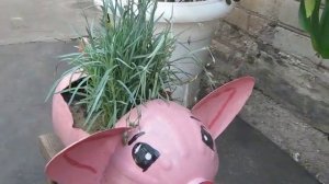 Клумба из пластиковой бутылки / Дача