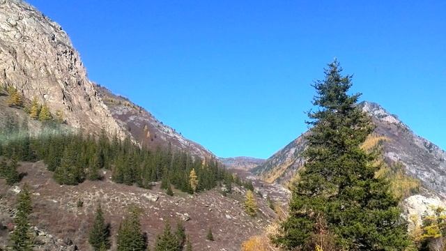 Защита аппарата зрения 1 часть (сокращенная версия) Сытин Г.Н. смотреть онлайн