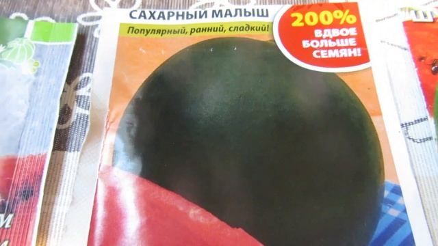 Арбуз САХАРНЫЙ МАЛЫШ (ШУГА БЕЙБИ). Ленинградская область. смотреть онлайн