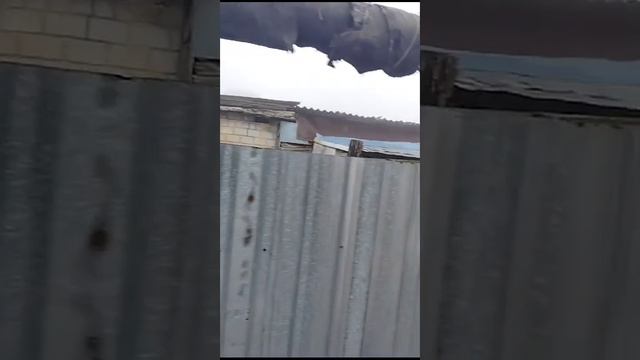 Гайчанку обязывают самостоятельно изолировать трубы смотреть онлайн