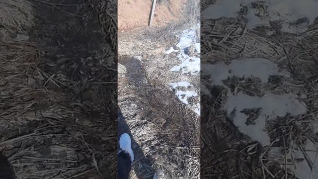 ЧАСТЬ 1.Начинаем строительство нашей фермы с НУЛЯ, подготовка ПРУДА к гидроизоляции,земляные работы смотреть онлайн