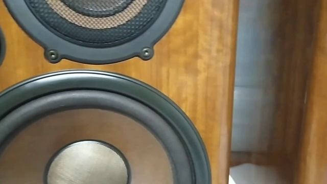 Diatone DS-600Z смотреть онлайн