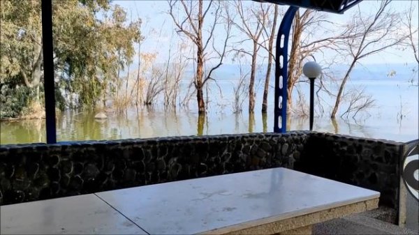 Израиль.Капернаум. Церковь 12 апостолов. /Israel.Capernaum. Church of the 12 Apostles.